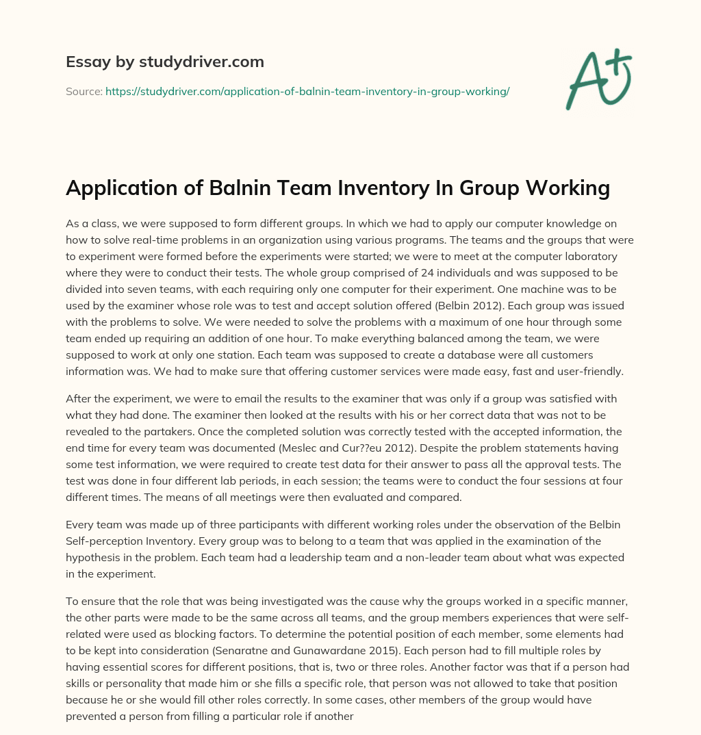 Application of Balnin Team Inventory in Group Working essay