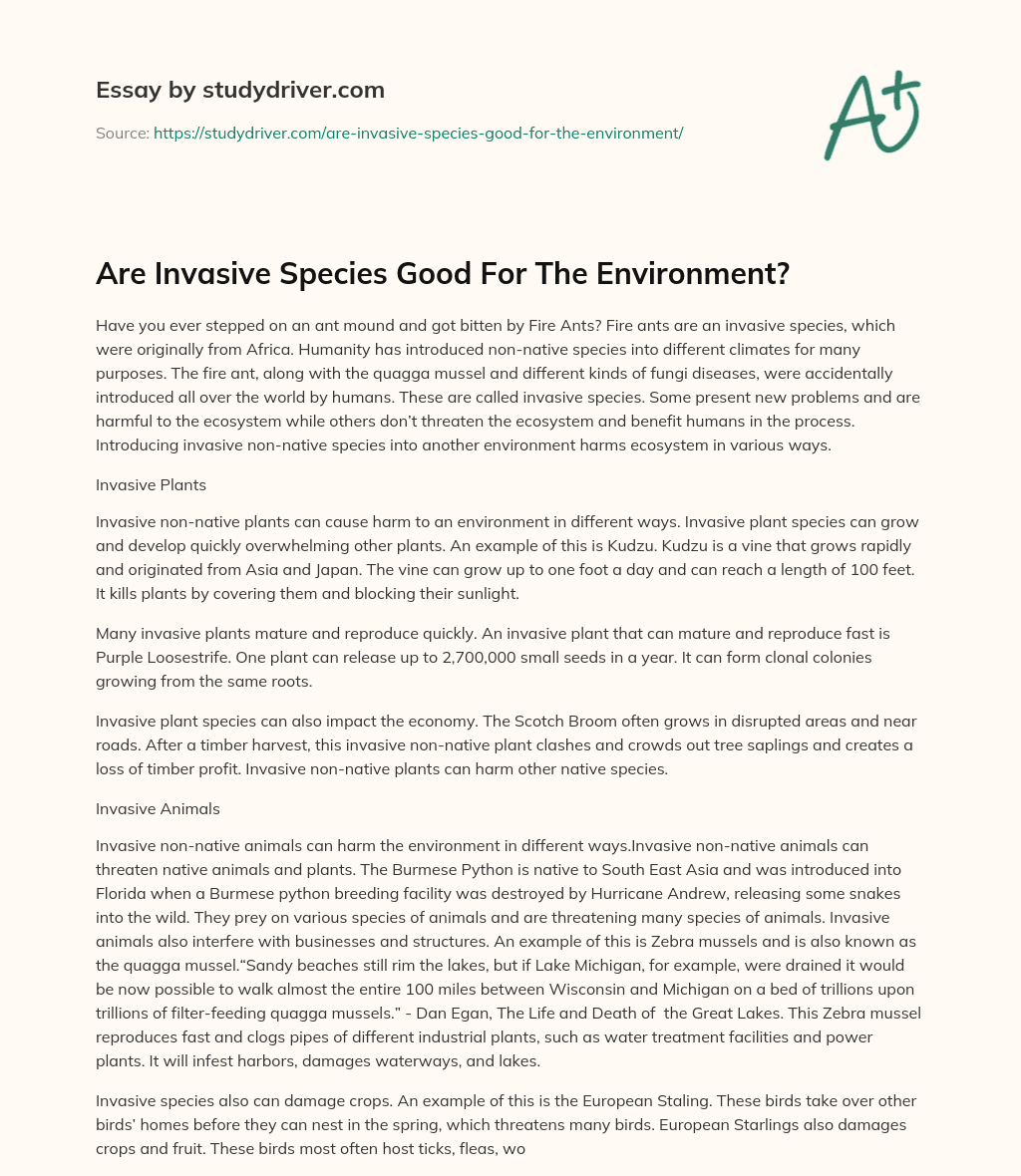 Are Invasive Species Good for the Environment? essay