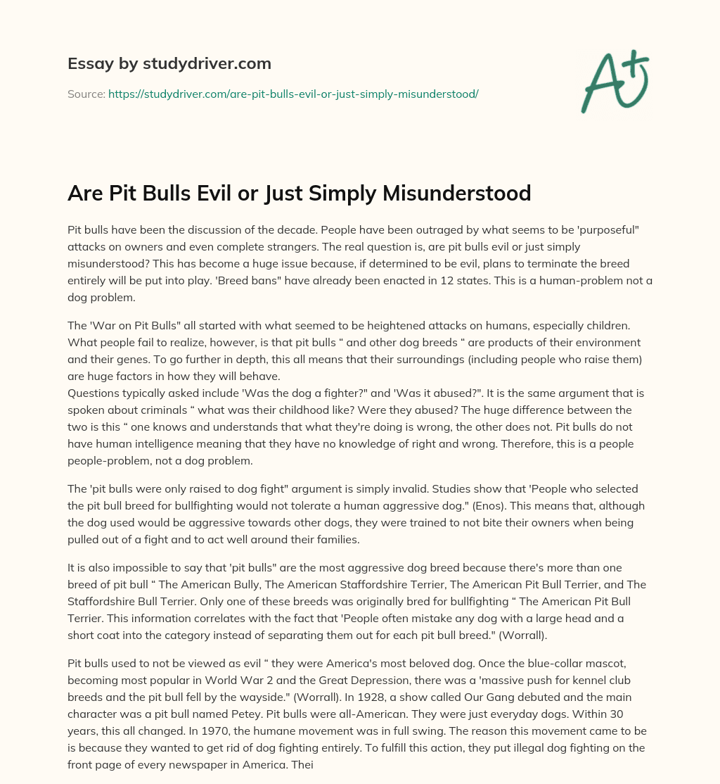 Are Pit Bulls Evil or Just Simply Misunderstood essay