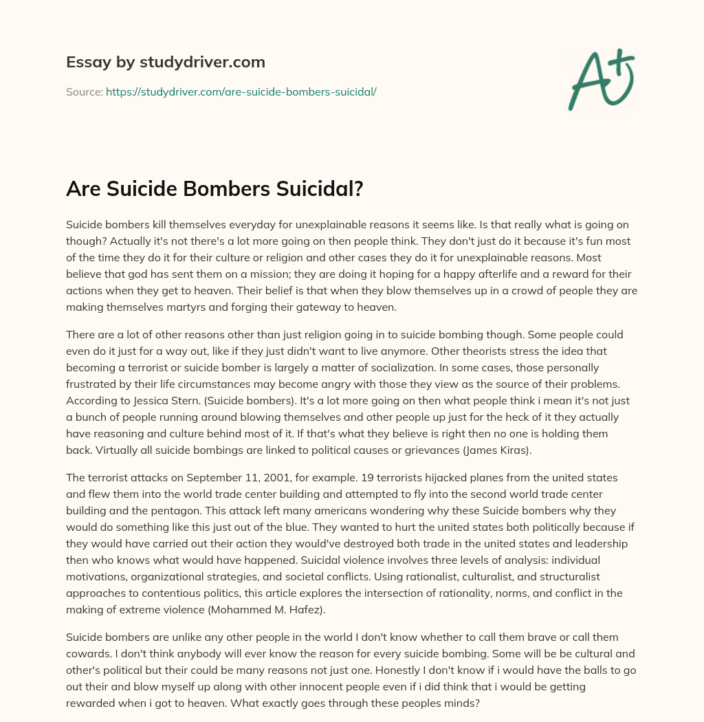 Are Suicide Bombers Suicidal? essay