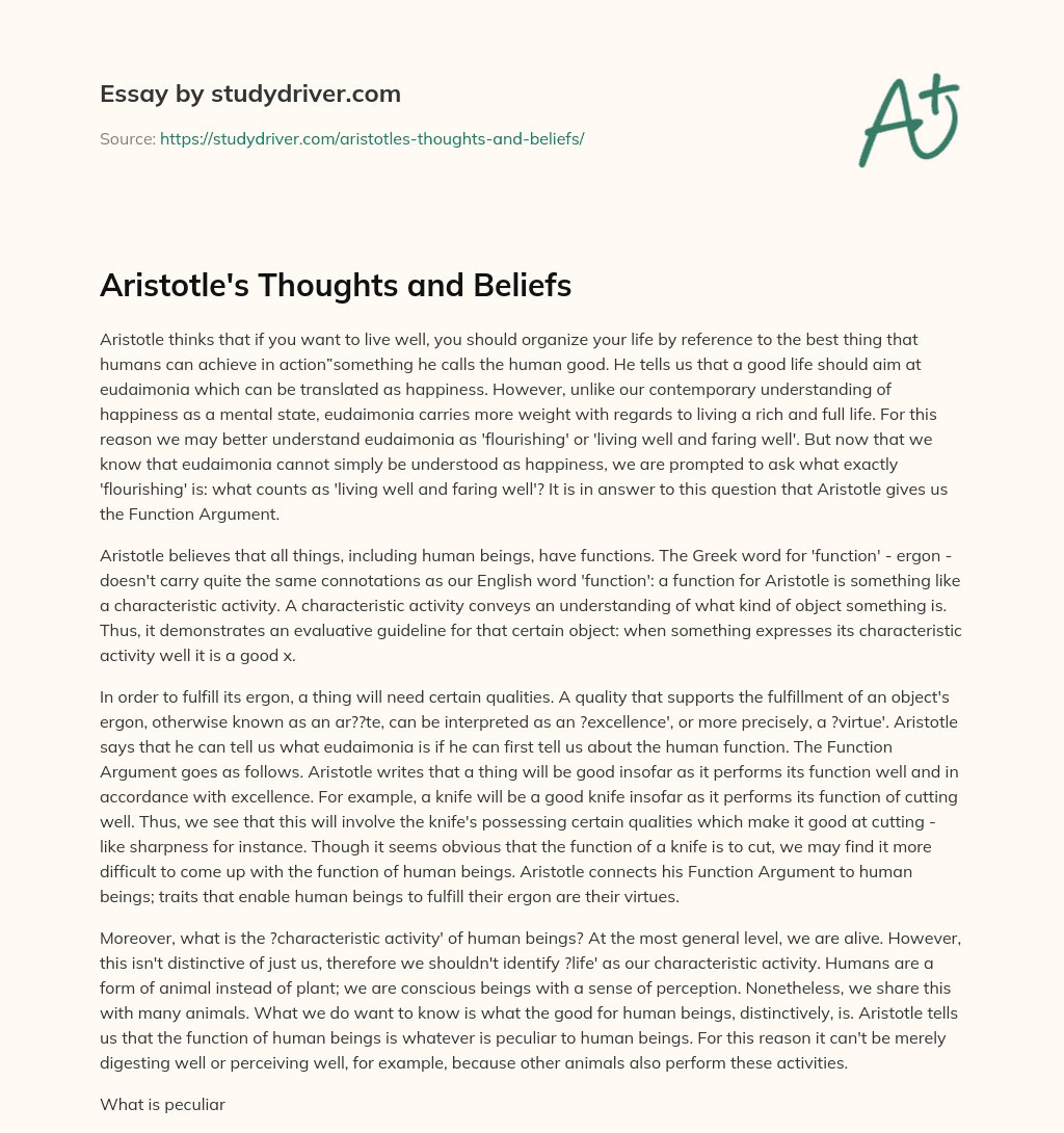 Aristotle’s Thoughts and Beliefs essay
