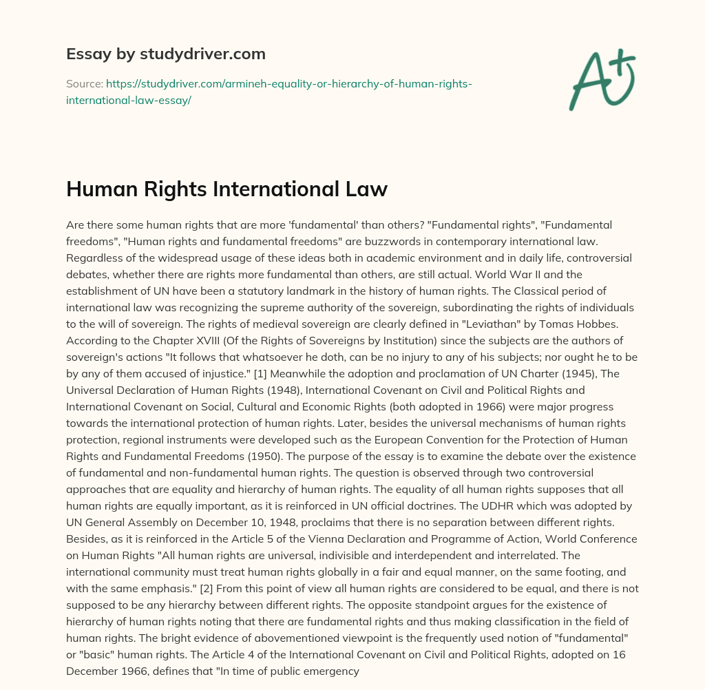 Human Rights International Law essay