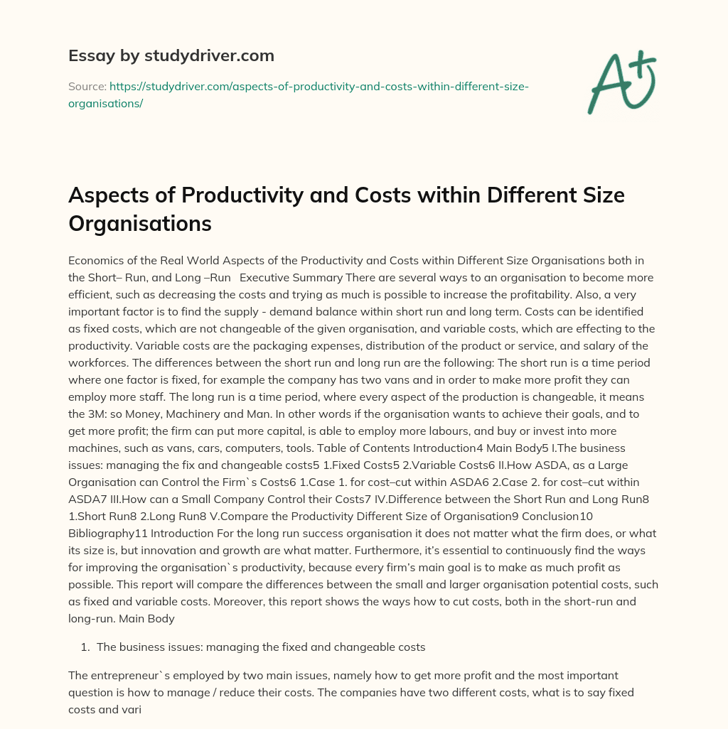 Aspects of Productivity and Costs Within Different Size Organisations essay