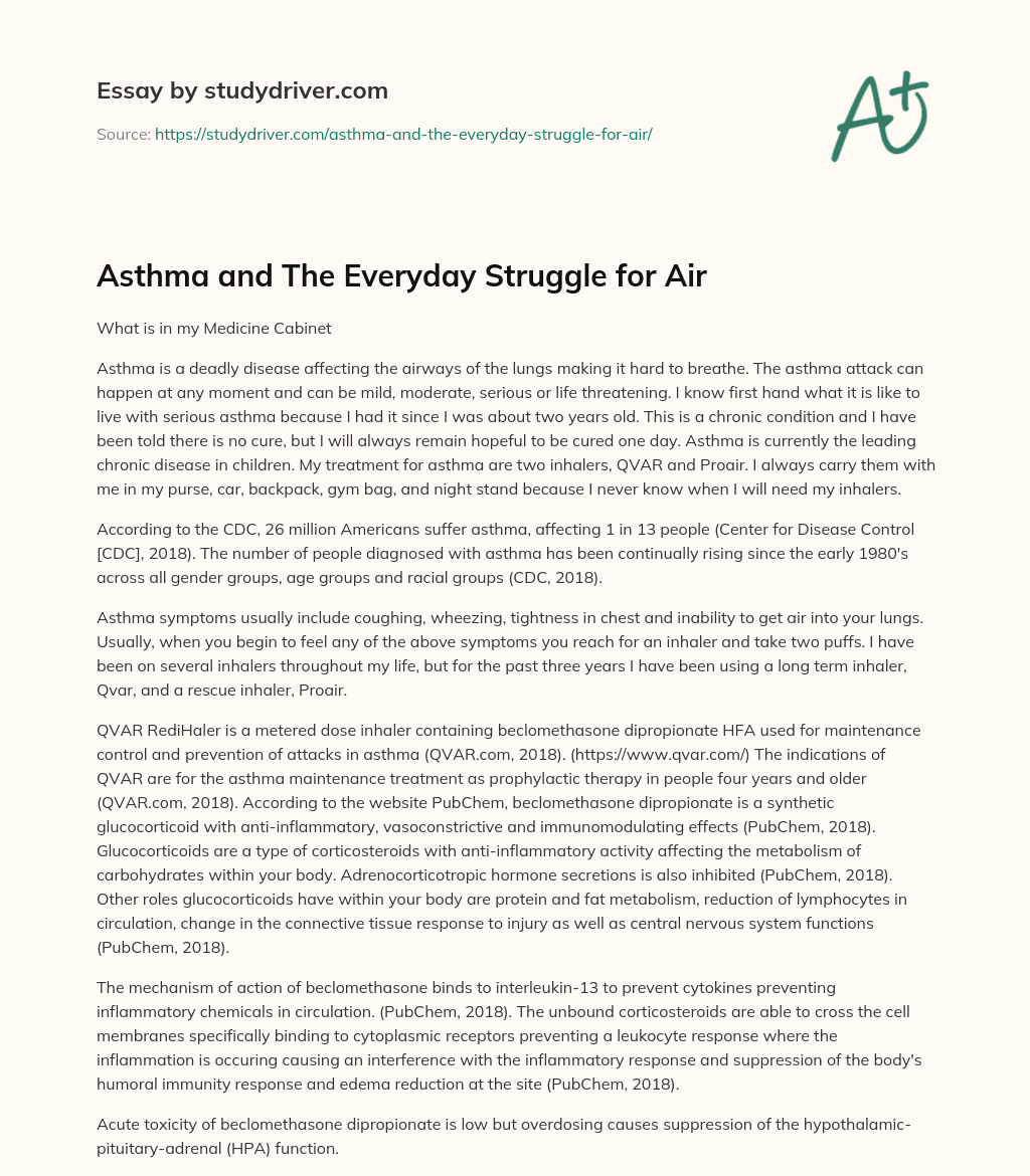 Asthma and the Everyday Struggle for Air essay