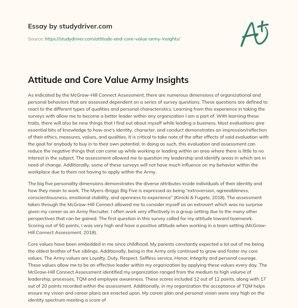 Attitude and Core Value Army Insights essay