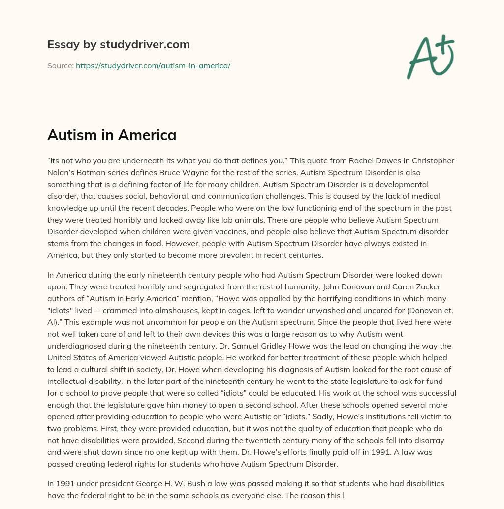 Autism in America essay