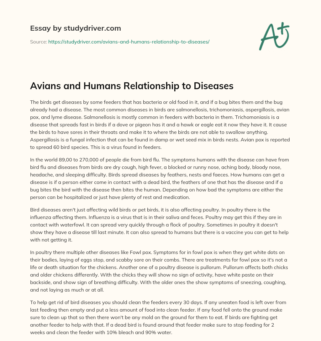 Avians and Humans Relationship to Diseases essay
