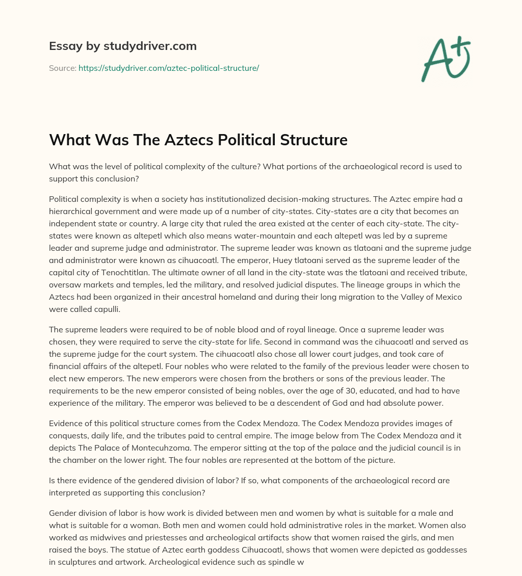 What was the Aztecs Political Structure essay