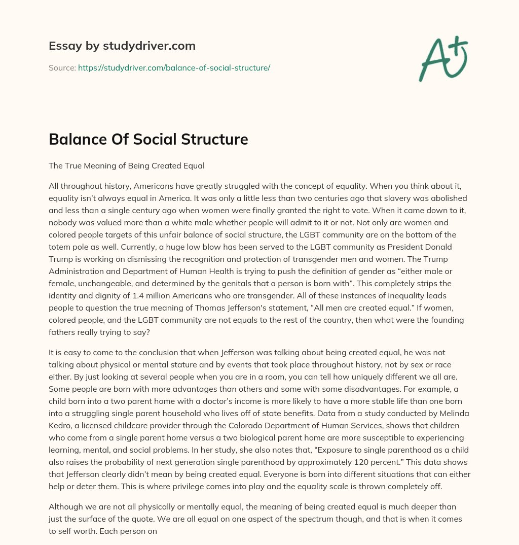 Balance of Social Structure essay