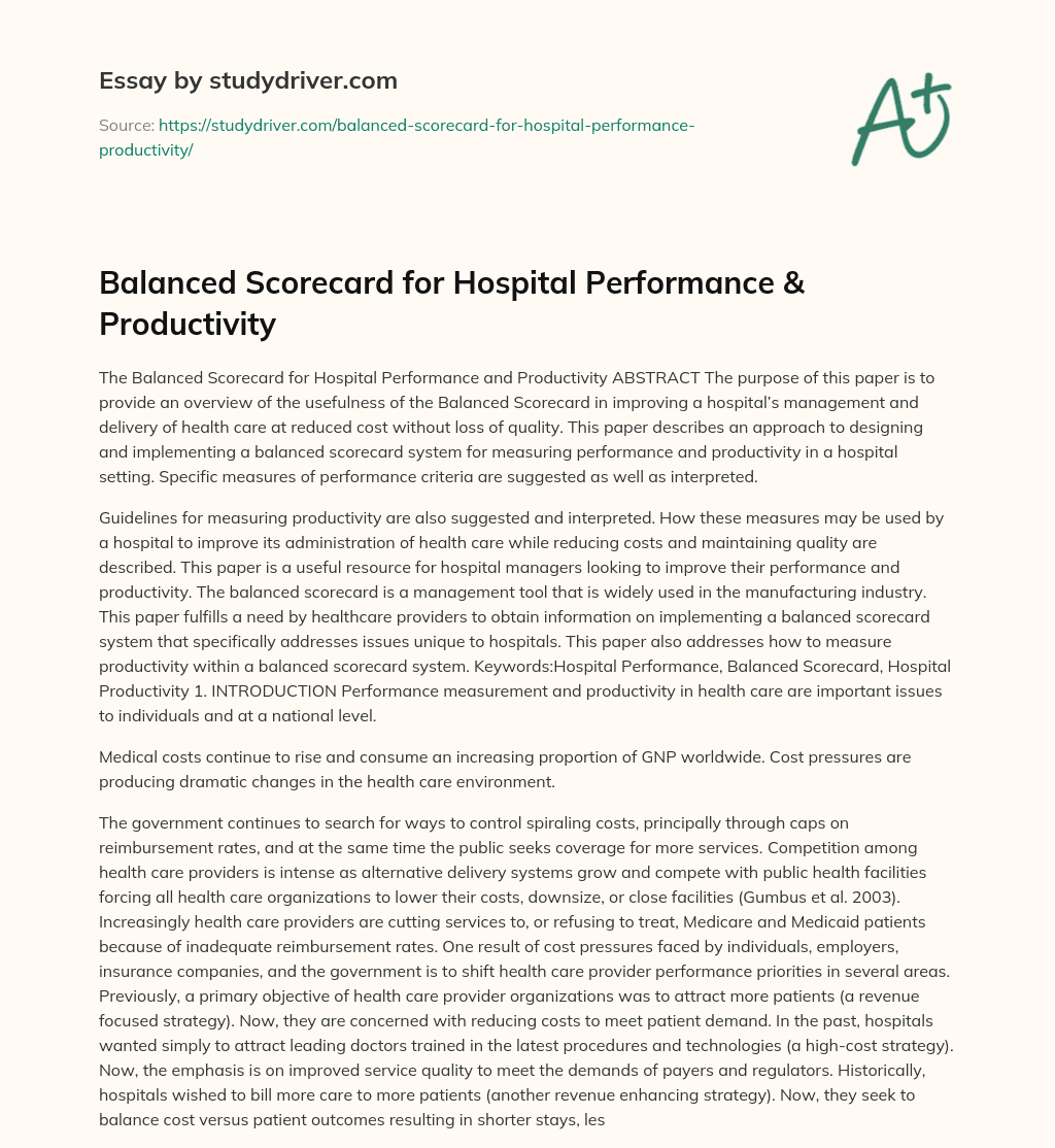 Balanced Scorecard for Hospital Performance & Productivity essay