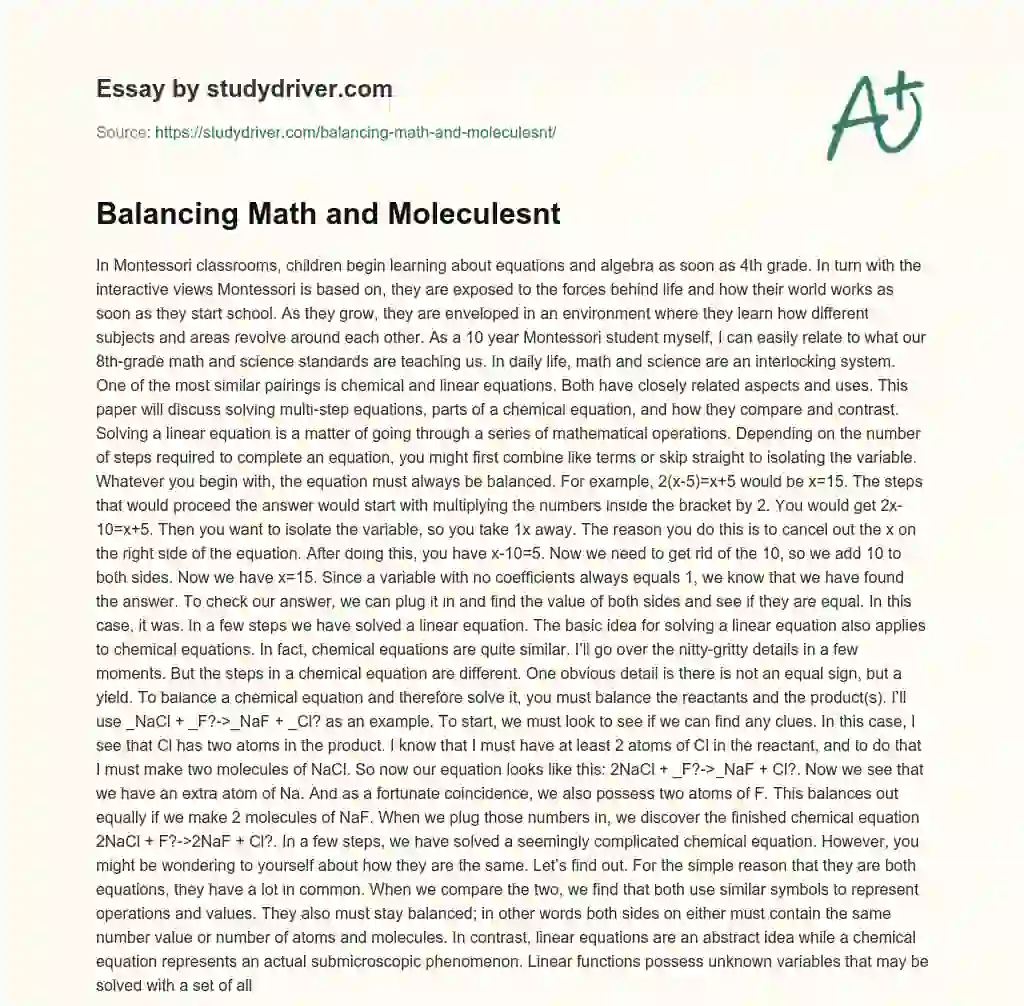 Balancing Math and Moleculesnt essay