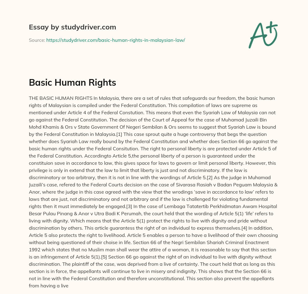 Basic Human Rights essay