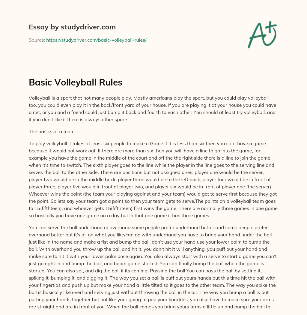 Basic Volleyball Rules essay