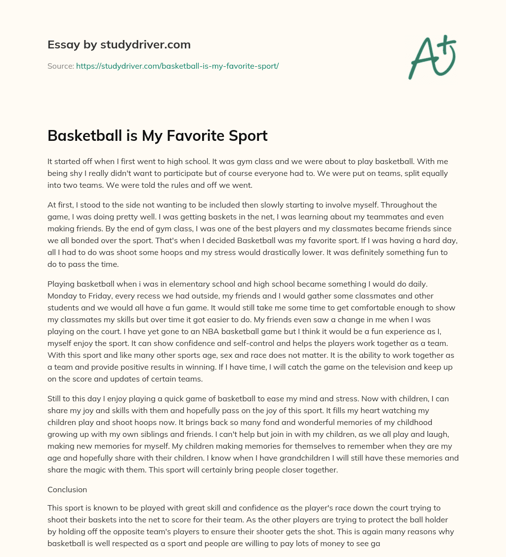 Basketball is my Favorite Sport essay