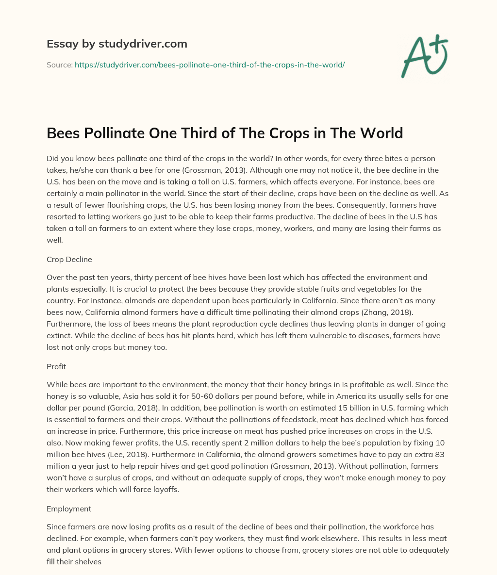 Bees Pollinate One Third of the Crops in the World essay