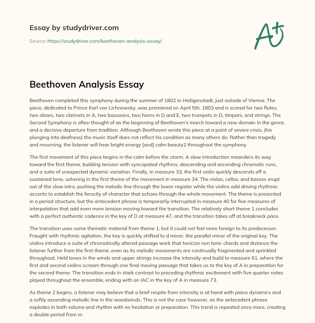 Beethoven Analysis Essay essay