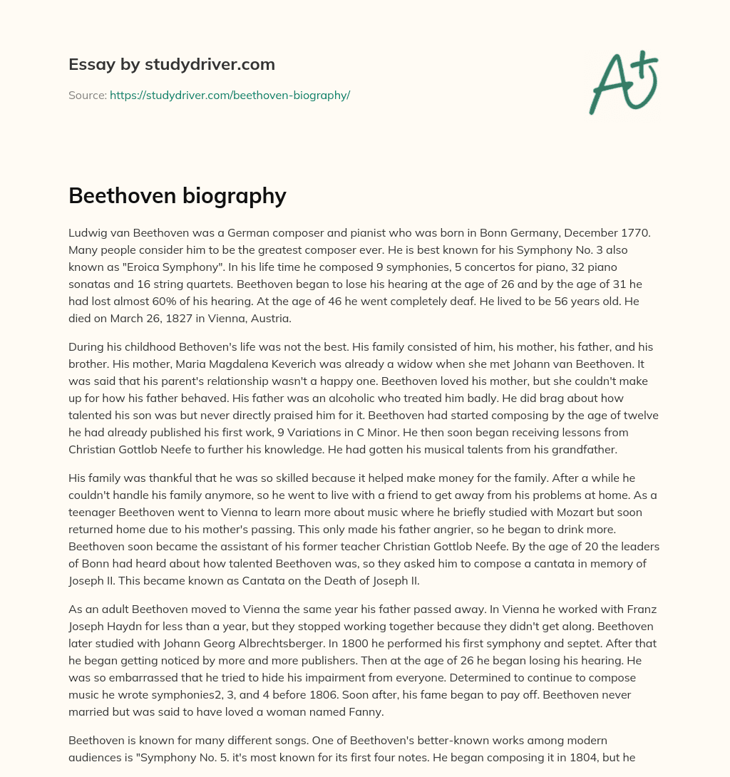 Beethoven Biography essay