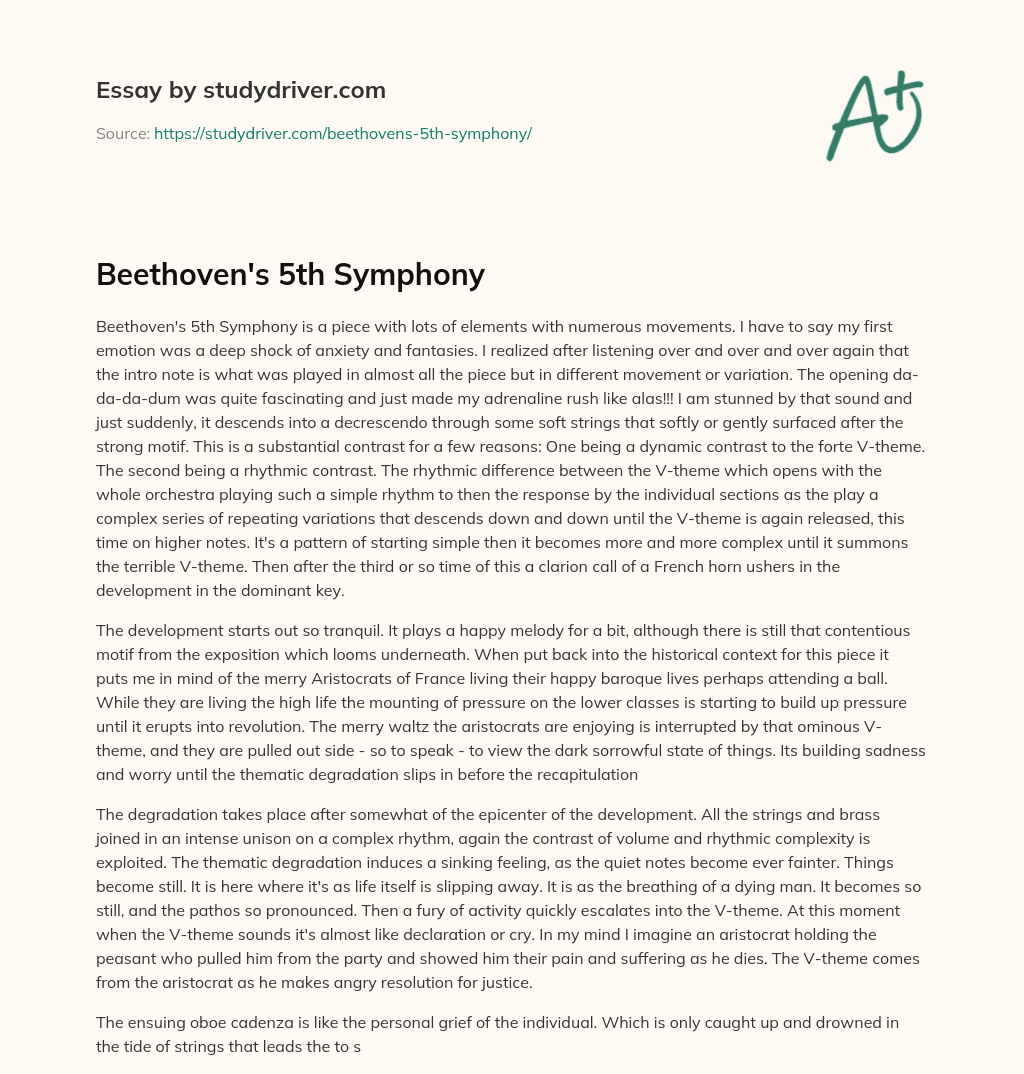 Beethoven’s 5th Symphony essay