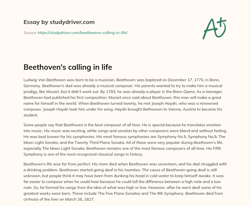 Beethoven’s Calling in Life essay