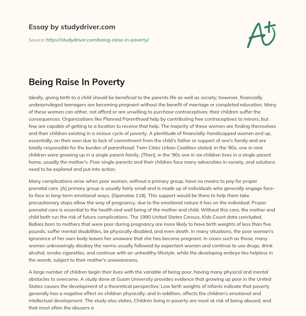Being Raise in Poverty essay