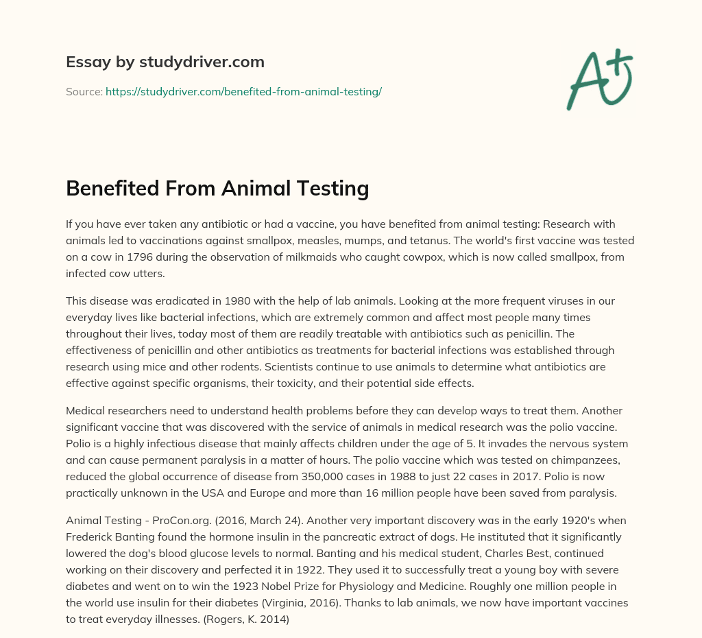 Benefited from Animal Testing essay