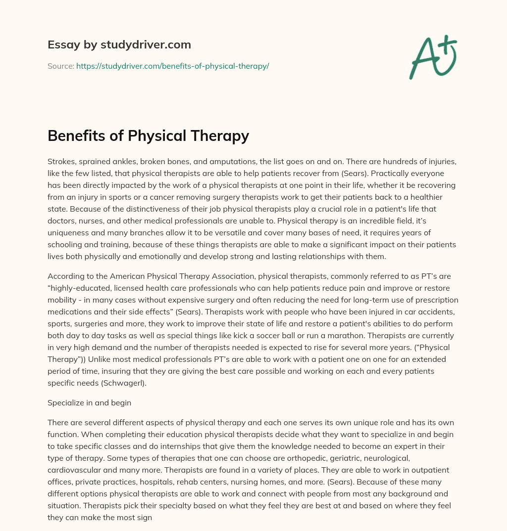 physical therapy experience essay