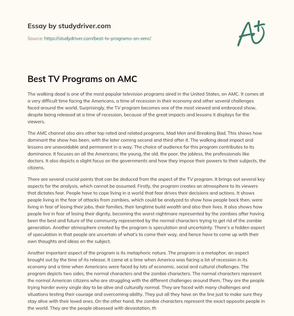Best TV Programs on AMC essay