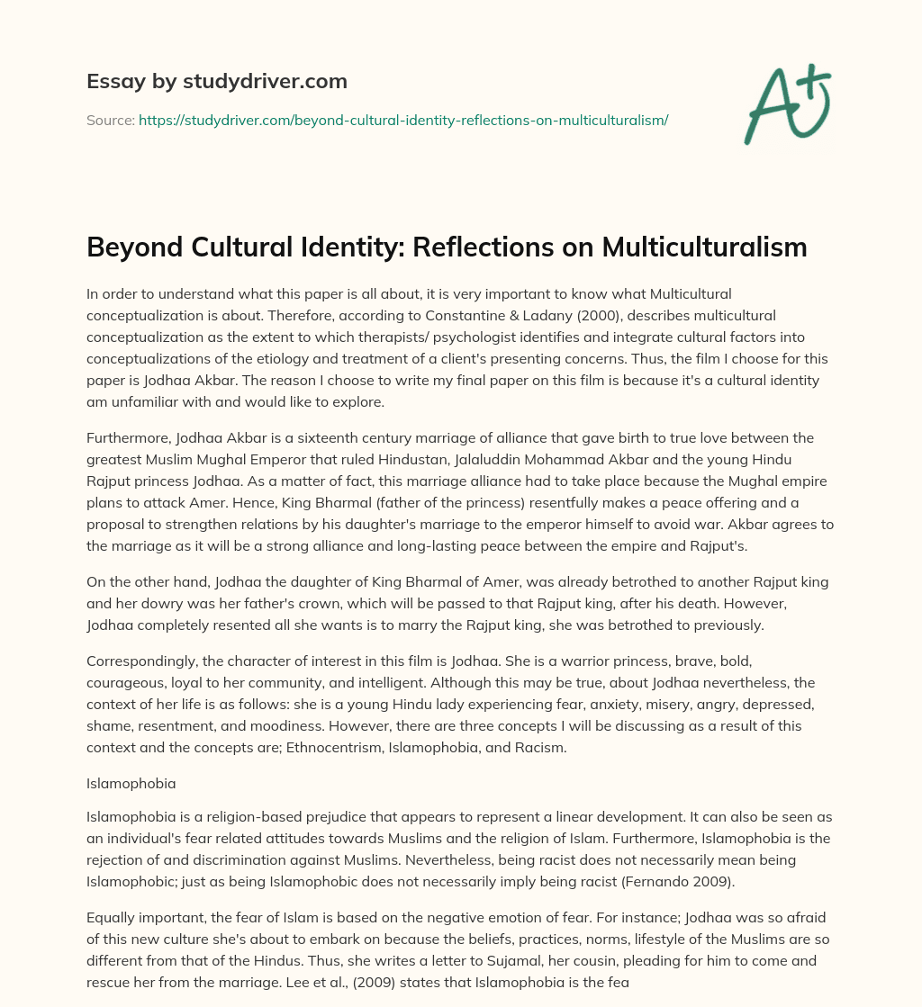 Beyond Cultural Identity: Reflections on Multiculturalism essay