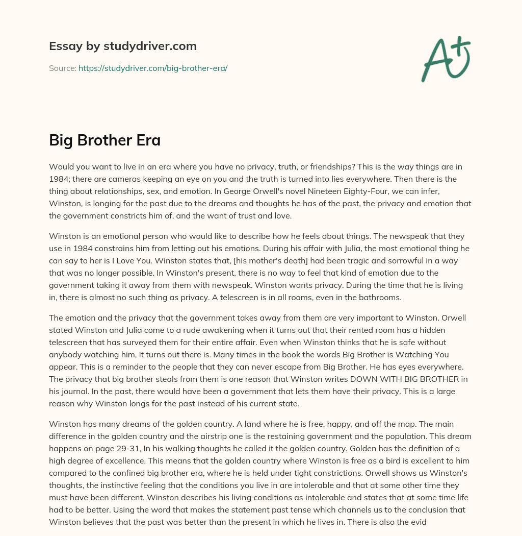 Big Brother Era essay
