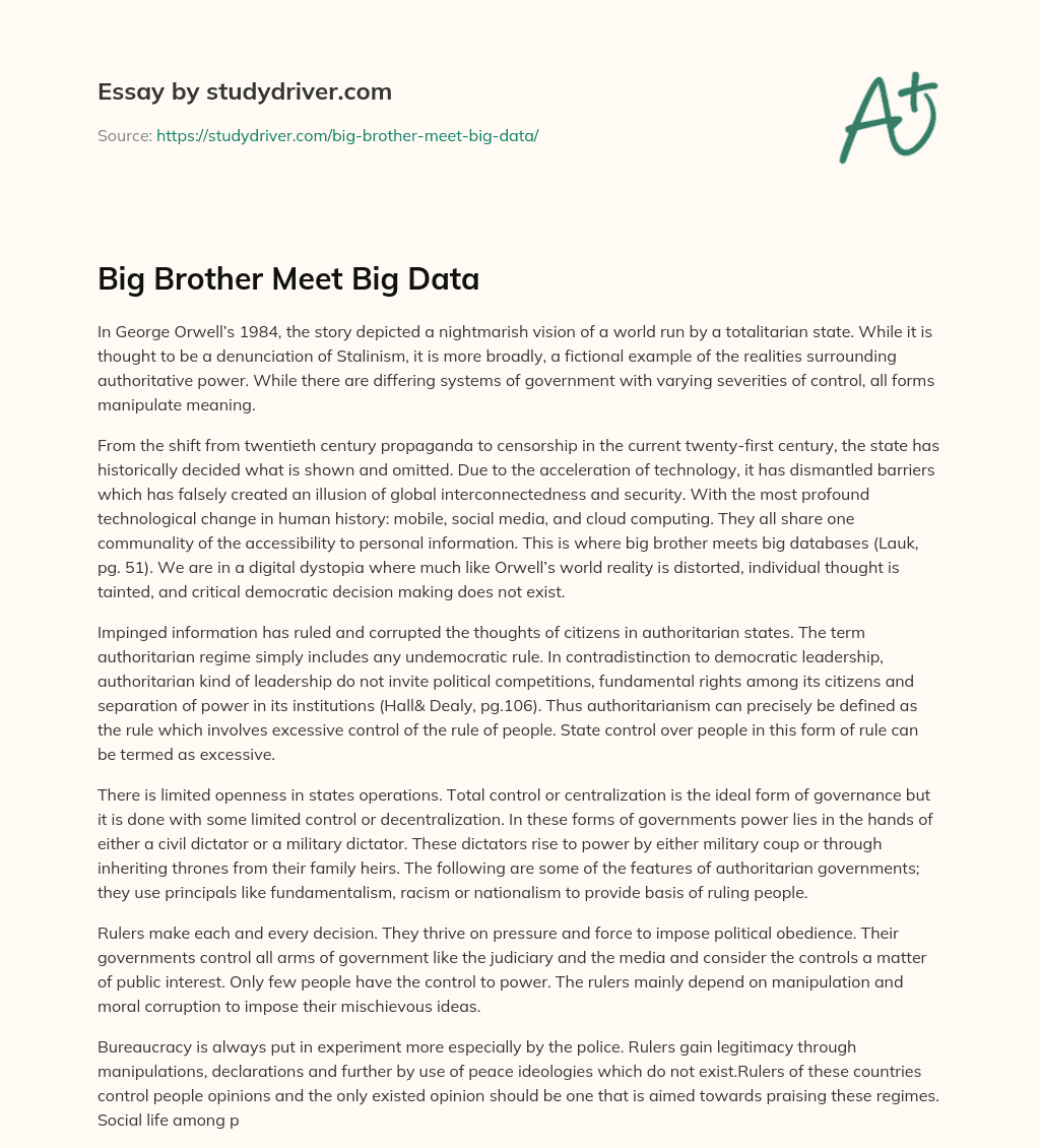 Big Brother Meet Big Data essay