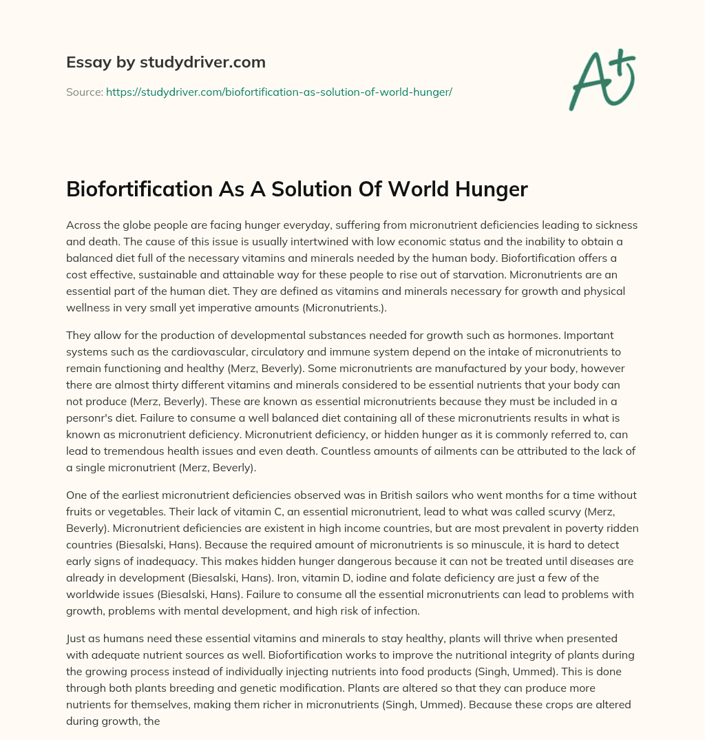 Biofortification as a Solution of World Hunger essay