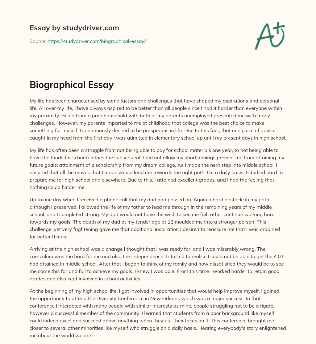 Biographical Essay essay