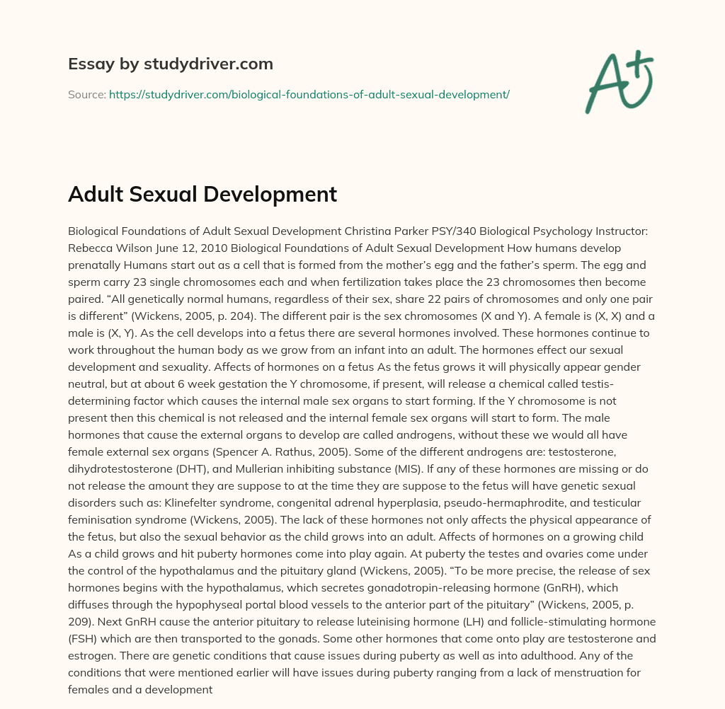 Adult Sexual Development essay