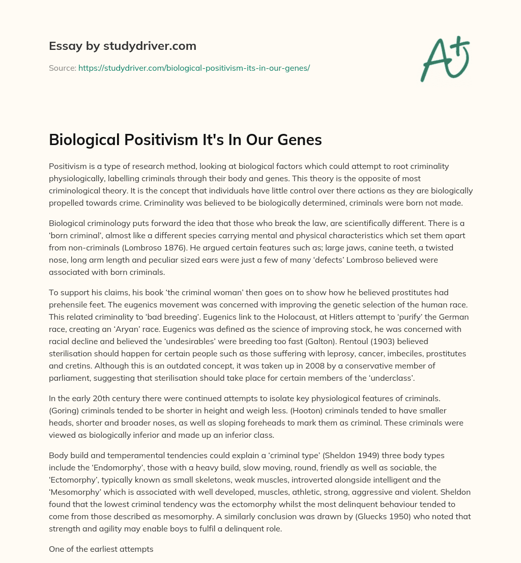 Biological Positivism it’s in our Genes essay