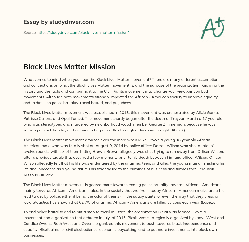 Black Lives Matter Mission essay