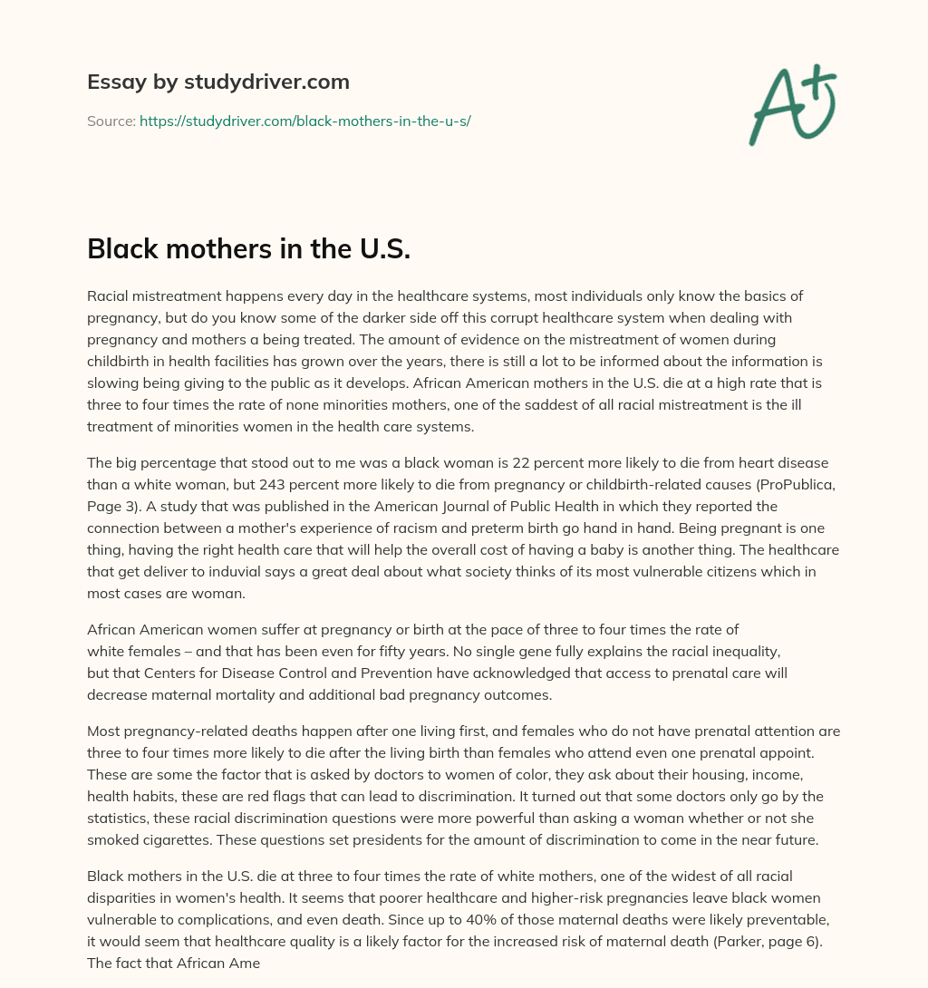 Black Mothers in the U.S. essay