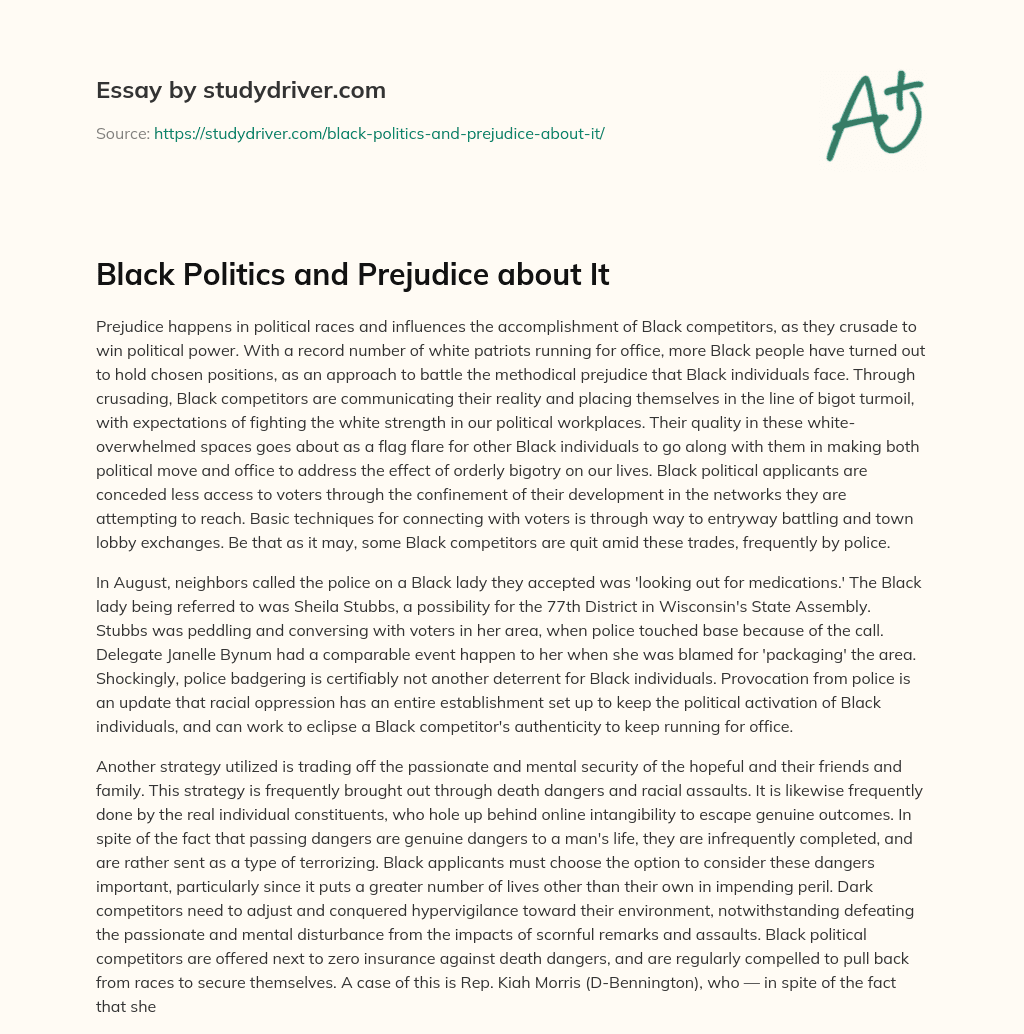 Black Politics and Prejudice about it essay