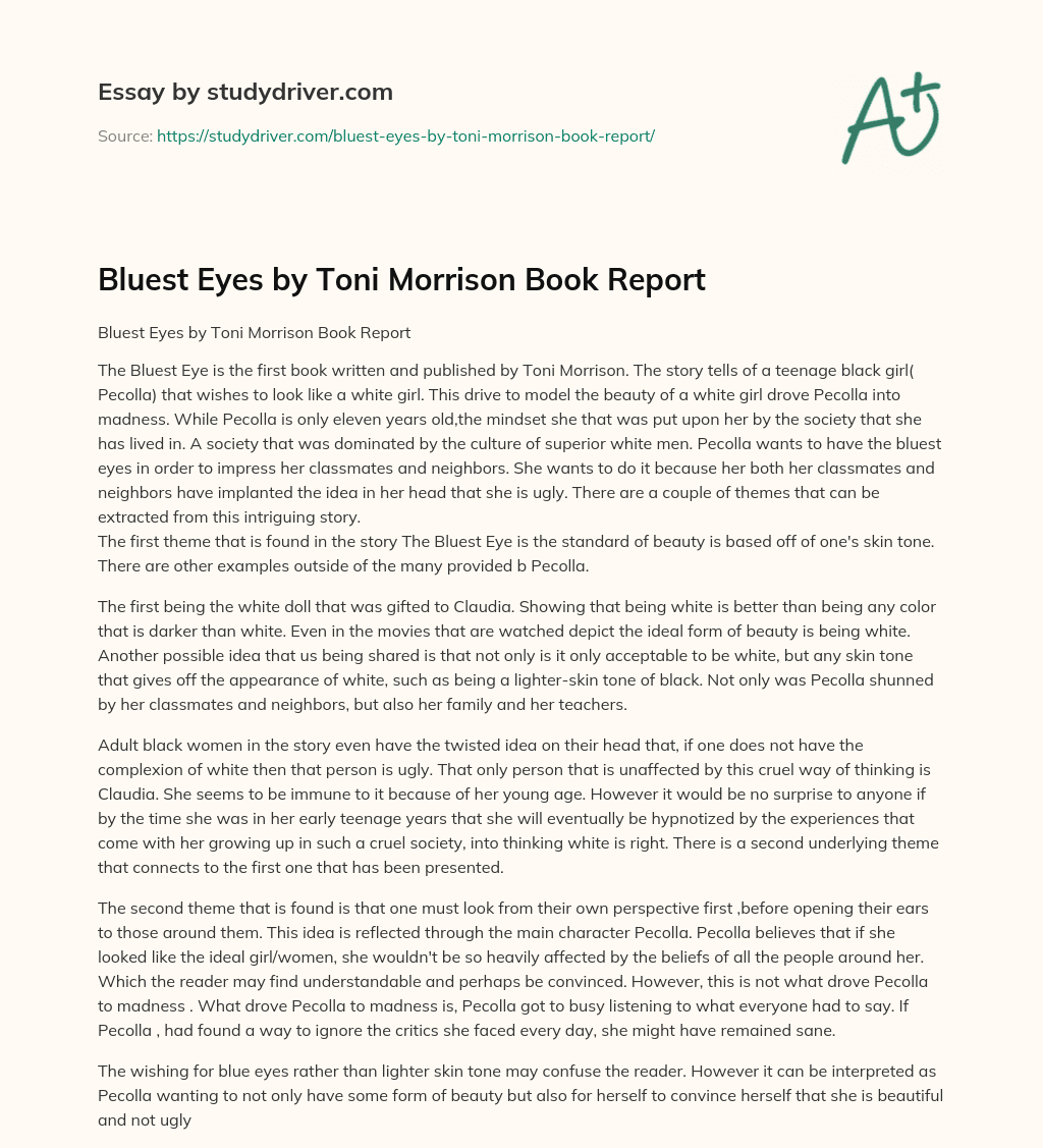 Bluest Eyes by Toni Morrison Book Report essay