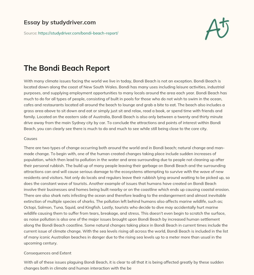 The Bondi Beach Report essay