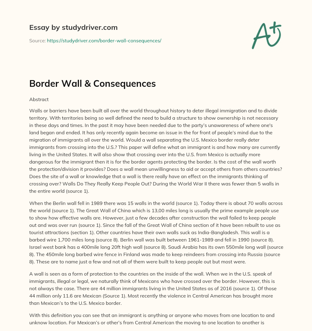 Border Wall & Consequences essay