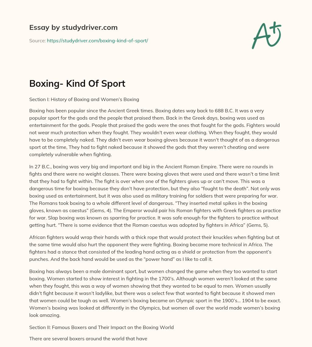 Boxing- Kind of Sport essay