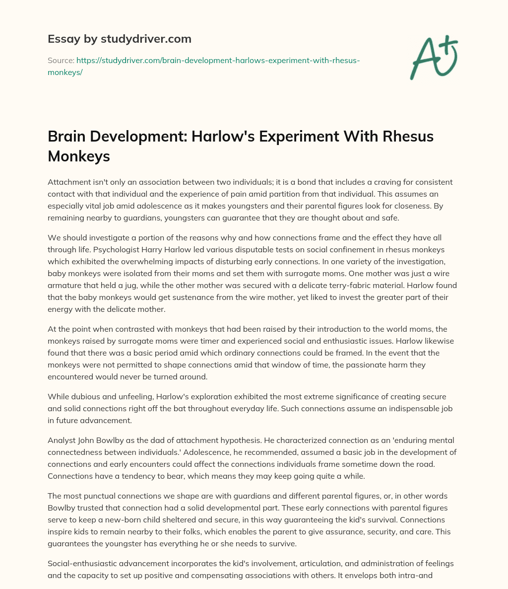 Brain Development: Harlow’s Experiment with Rhesus Monkeys essay