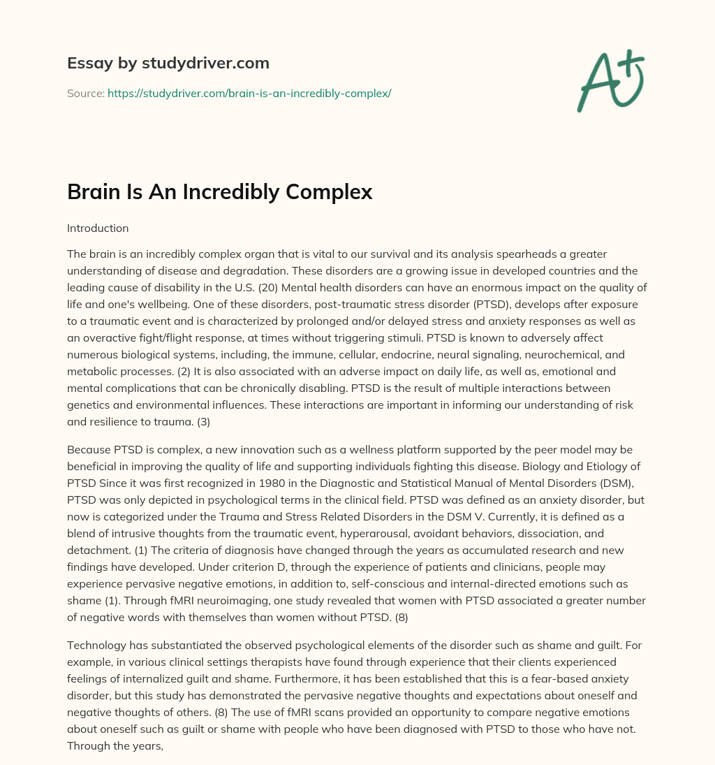 Brain is an Incredibly Complex essay