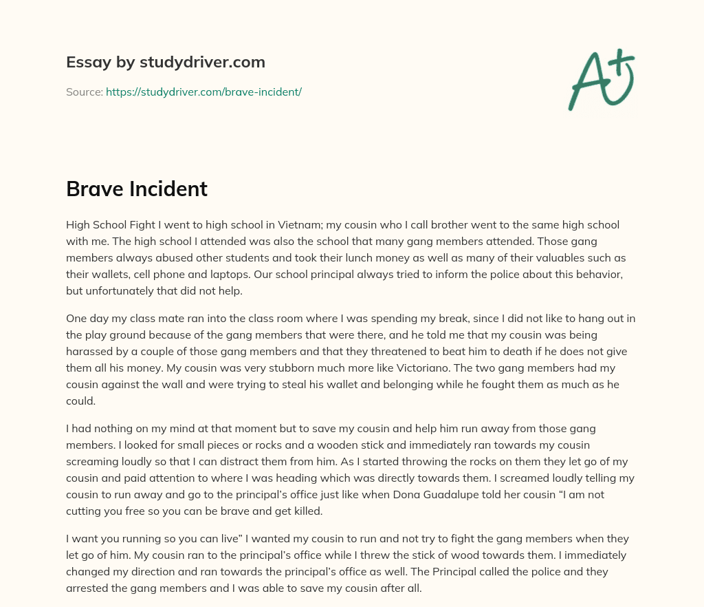 Brave Incident essay