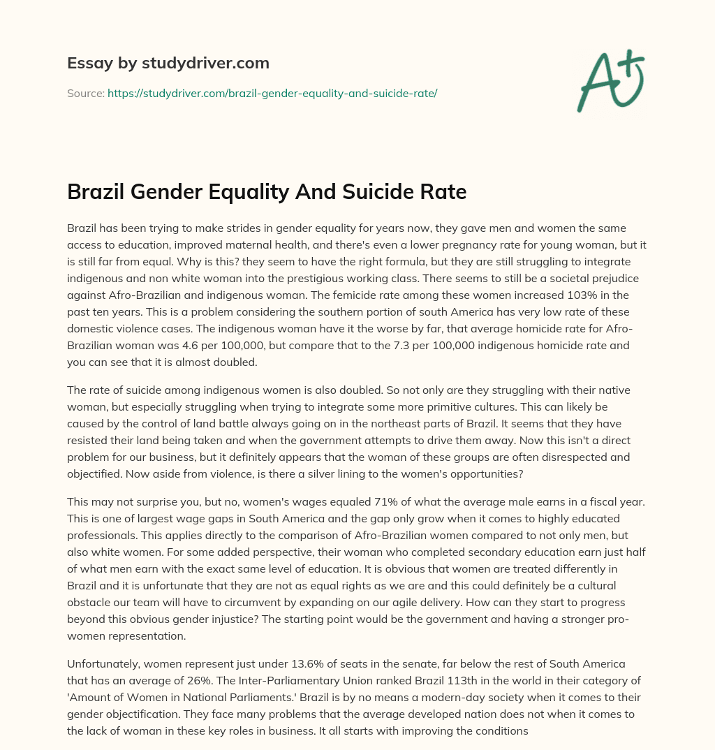 Brazil Gender Equality and Suicide Rate essay