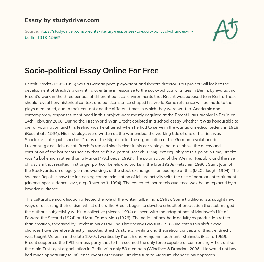 Socio-political Essay Online for Free essay