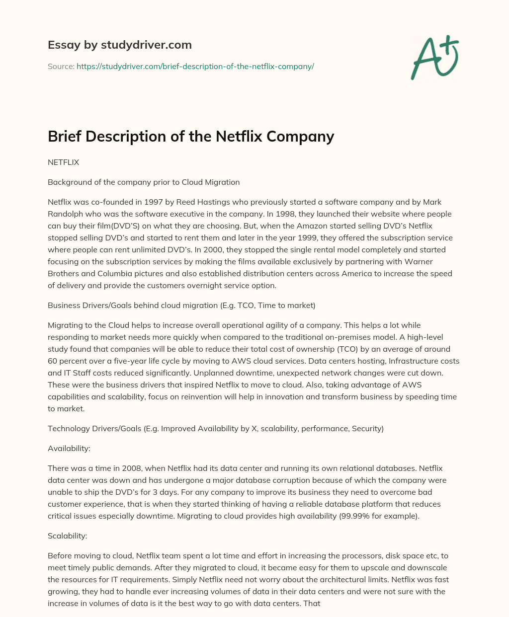 Brief Description of the Netflix Company essay