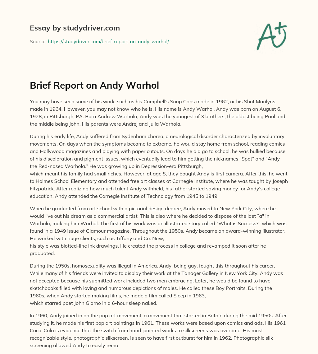 Brief Report on Andy Warhol essay