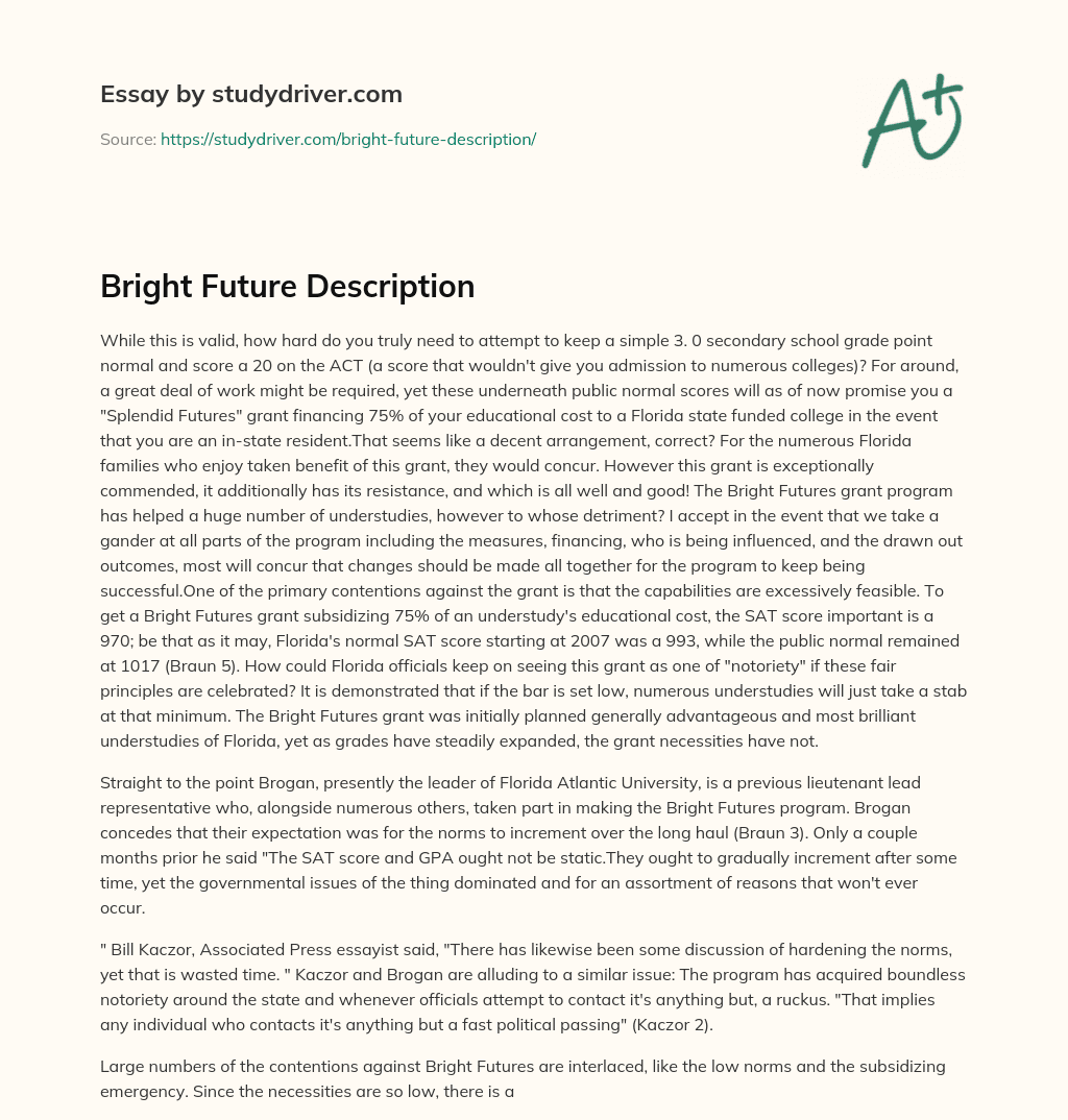 Bright Future Description essay