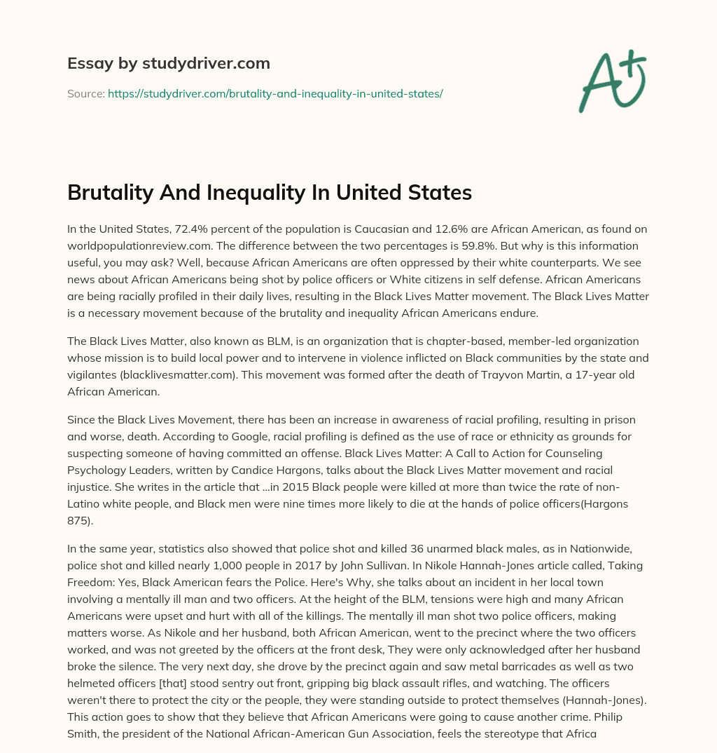 Brutality and Inequality  in United States essay